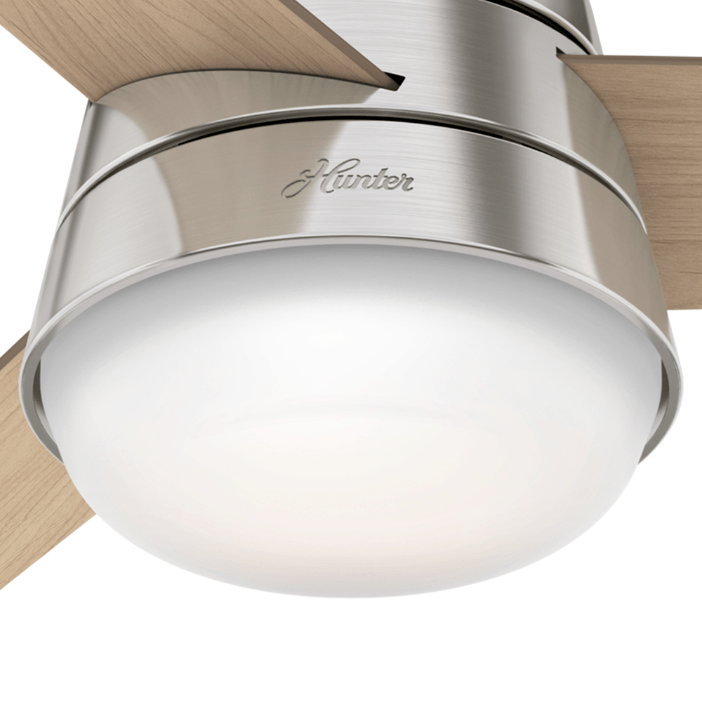 Globo de Vidro - Finley