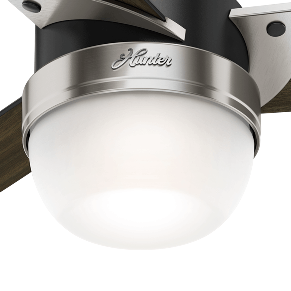 Globo de Vidro - Nova