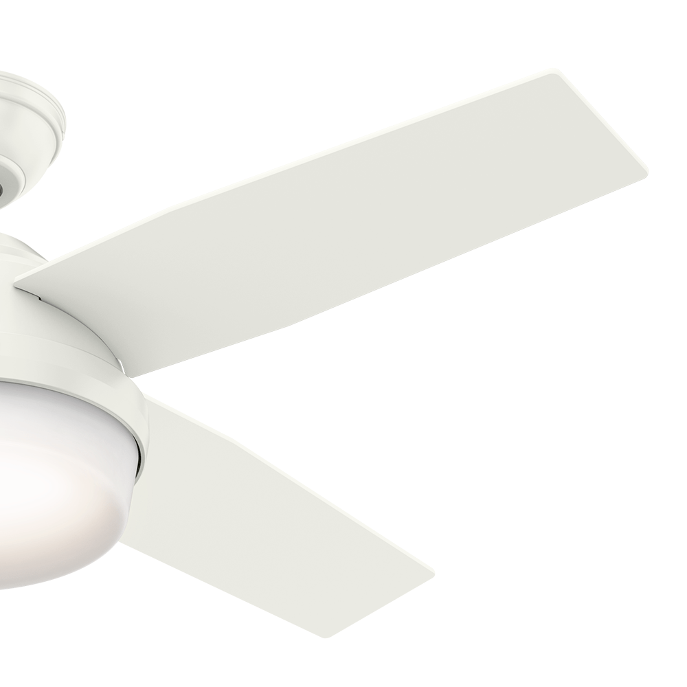 Conjunto de Pás - Dante