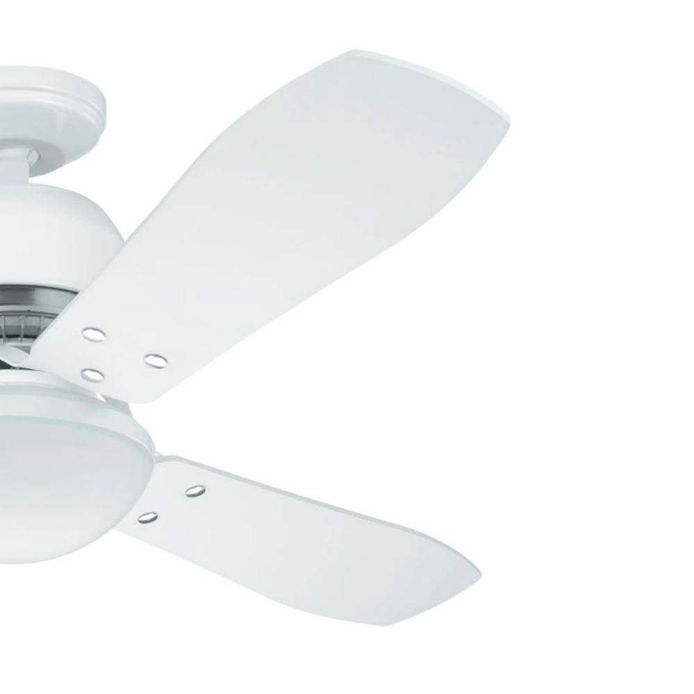 Conjunto de Pás - Lite Industrie