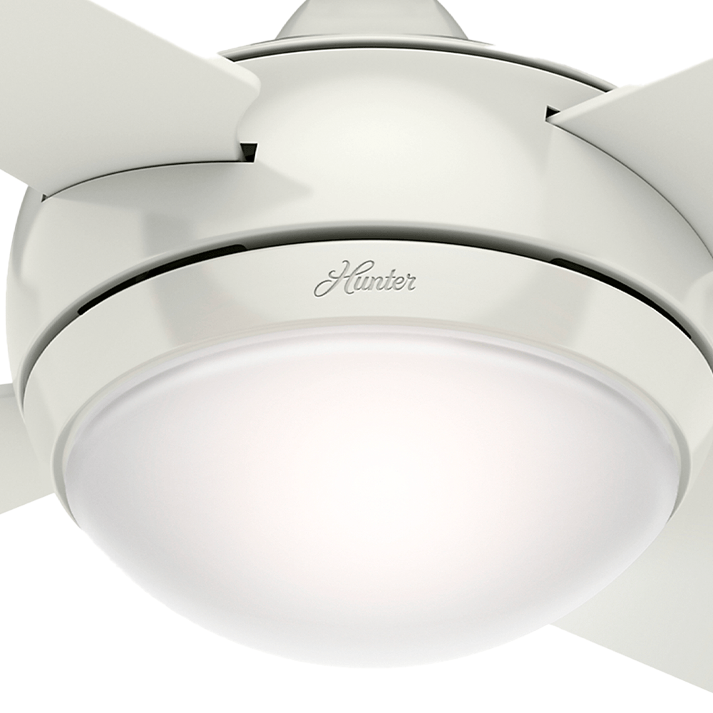 Globo de Vidro Sonic