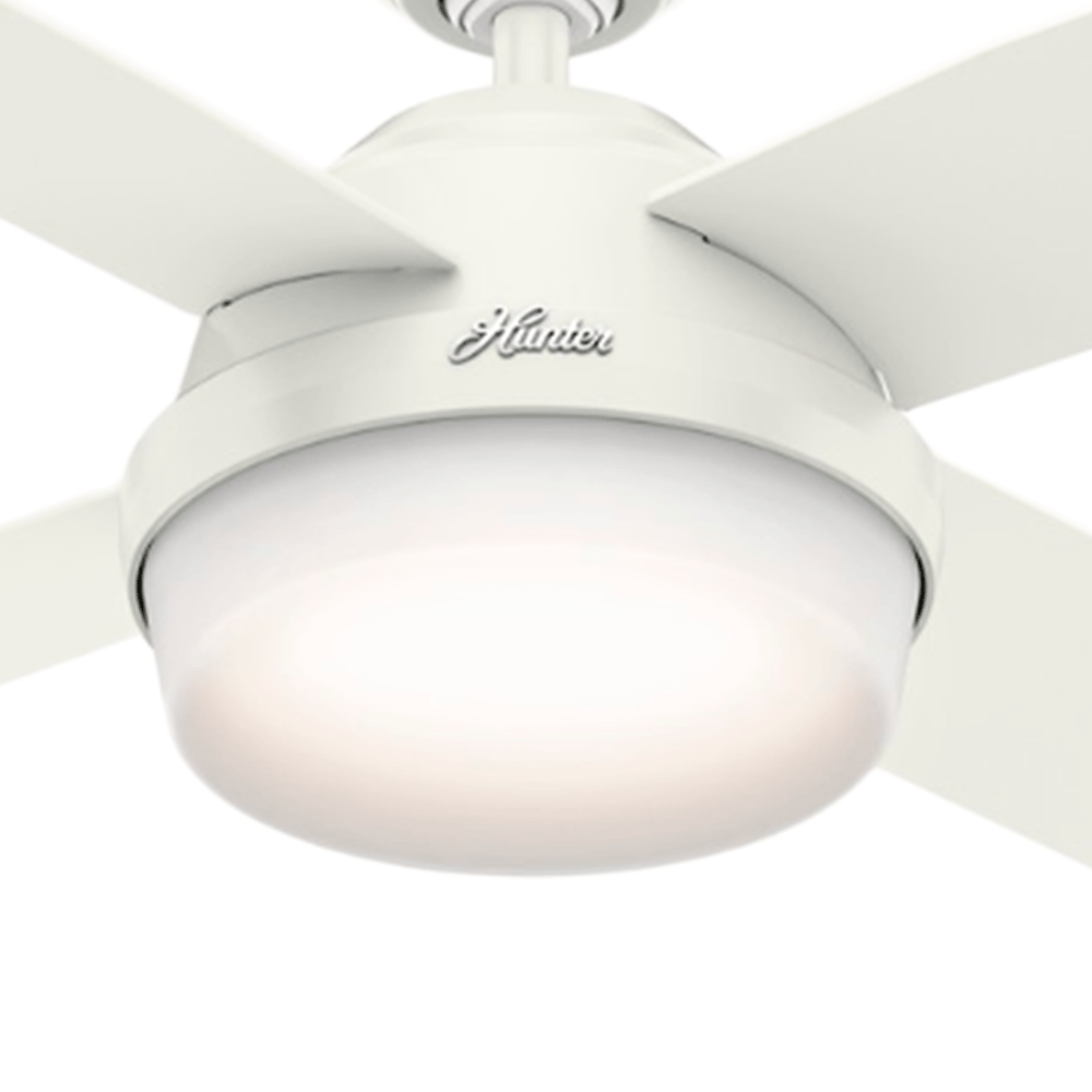 Globo de Vidro Dante